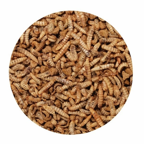 Living World Green Gourmet Toppers - Insects