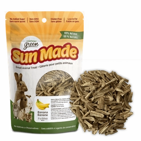 Living World Green Sun Made Dried Banana Treat