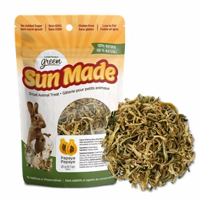 Living World Green Sun Made Dried Papaya Treat