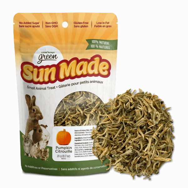 Living World Green Sun Made Dried Pumpkin Treat