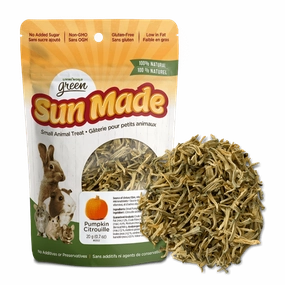 Living World Green Sun Made Dried Pumpkin Treat
