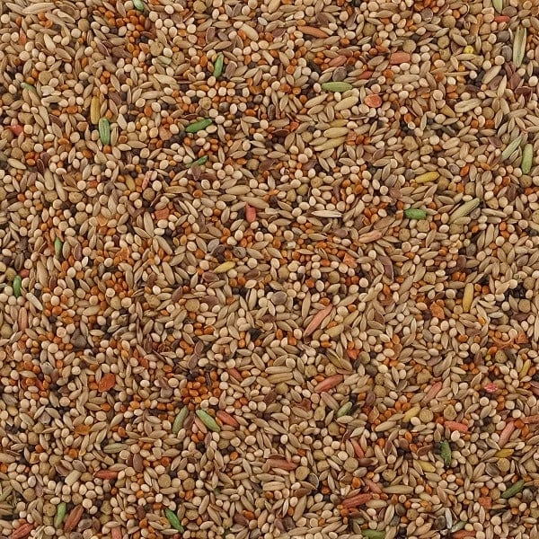 Living World Premium Mix for Budgies