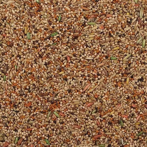 Living World Premium Mix for Budgies