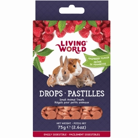Living World Raspberry Flavour Drops Small Animal Treats