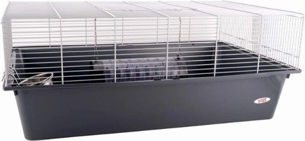 Living World Rat Starter Kit