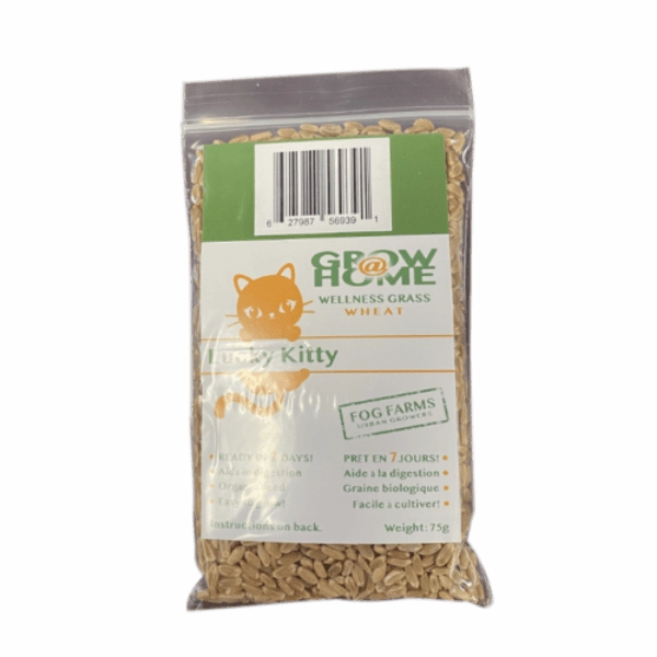 Lucky Kitty Grow @ Home Cat Grass Home Grow Kit; Wheat Refill Pack