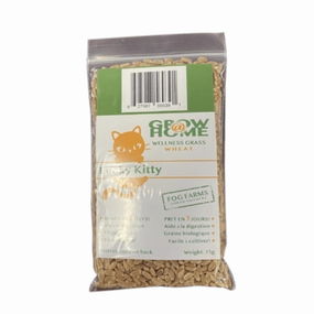 Lucky Kitty Grow @ Home Cat Grass Home Grow Kit; Wheat Refill Pack