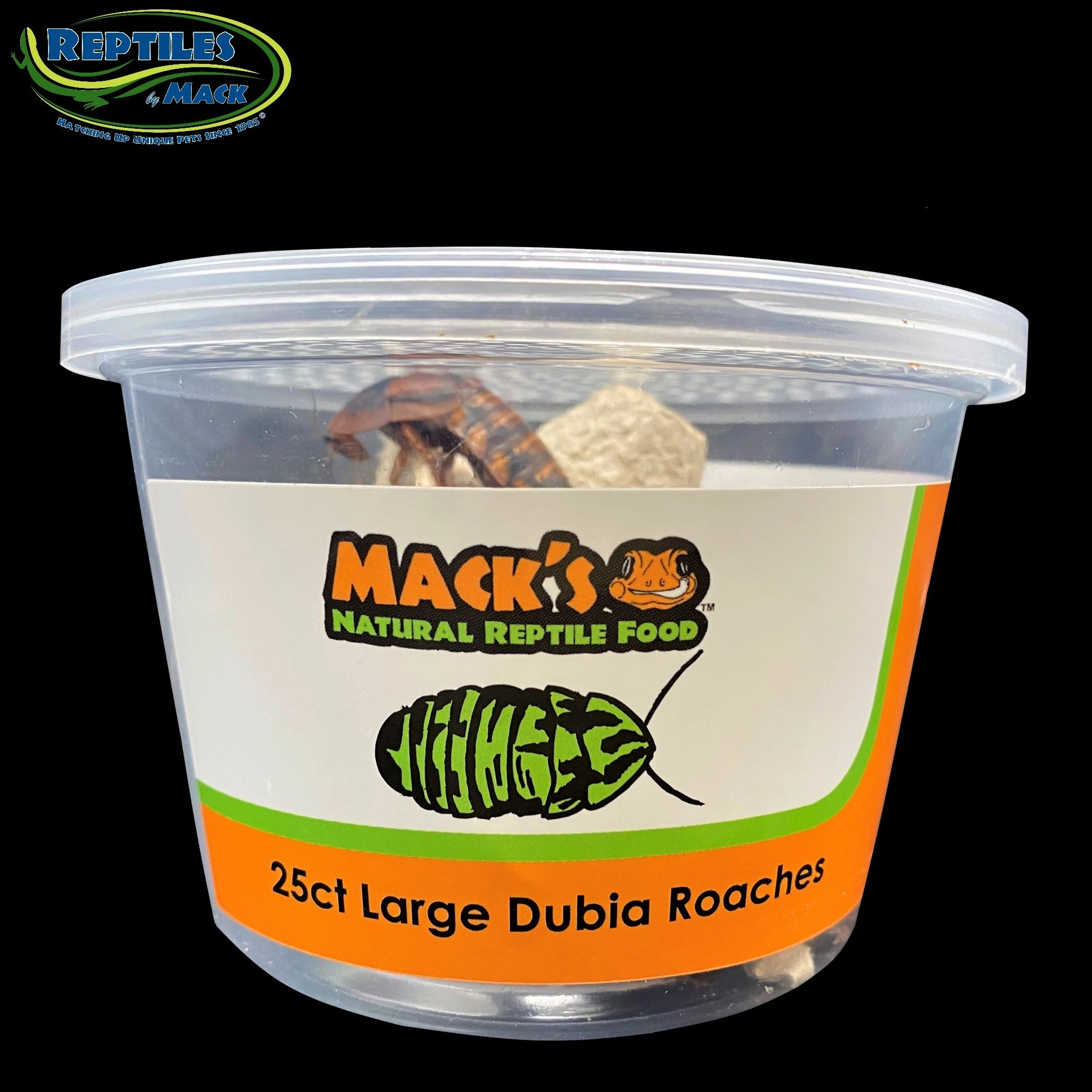 Mack's Natural Reptile Food Live Dubia Roaches