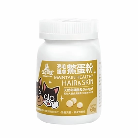 Cat Grooming