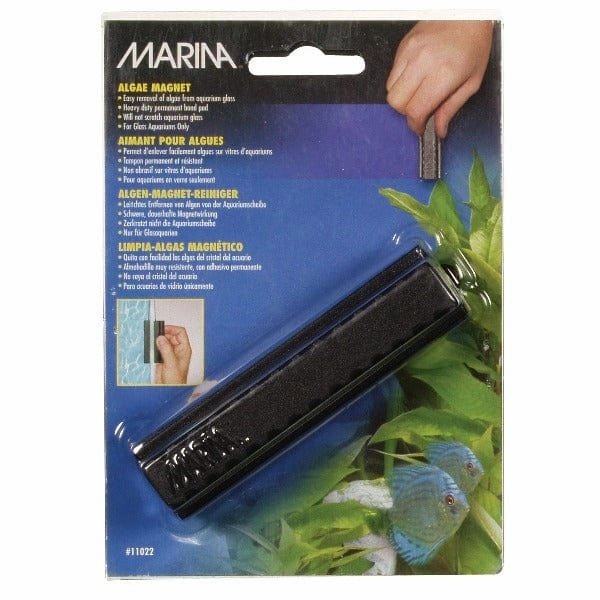 Marina Aquarium Algae Glass Magnet
