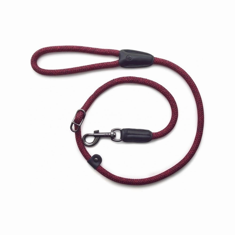 Metro Collar & Slip Leash