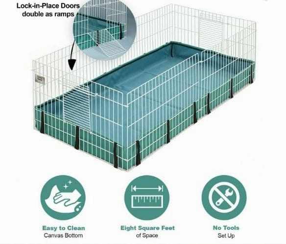 MidWest Guinea Habitat