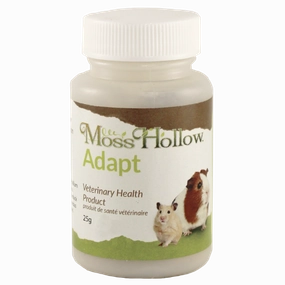 Moss Hollow