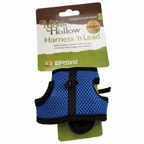 Moss Hollow Harness 'n Lead Set