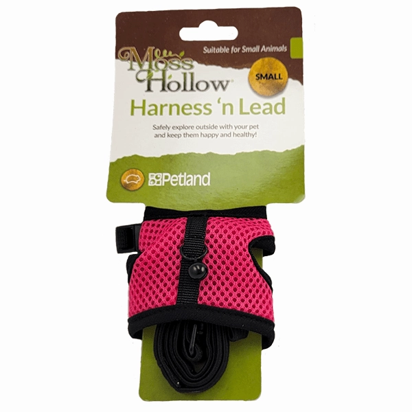 Moss Hollow Harness 'n Lead Set