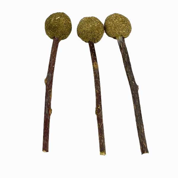 Moss Hollow Timmy Pops Hay Treat