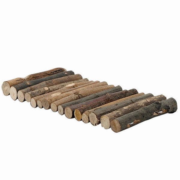 Moss Hollow Tree Twigs Lounging Logs