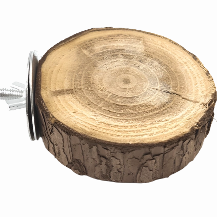 Moss Hollow Trunk Perch