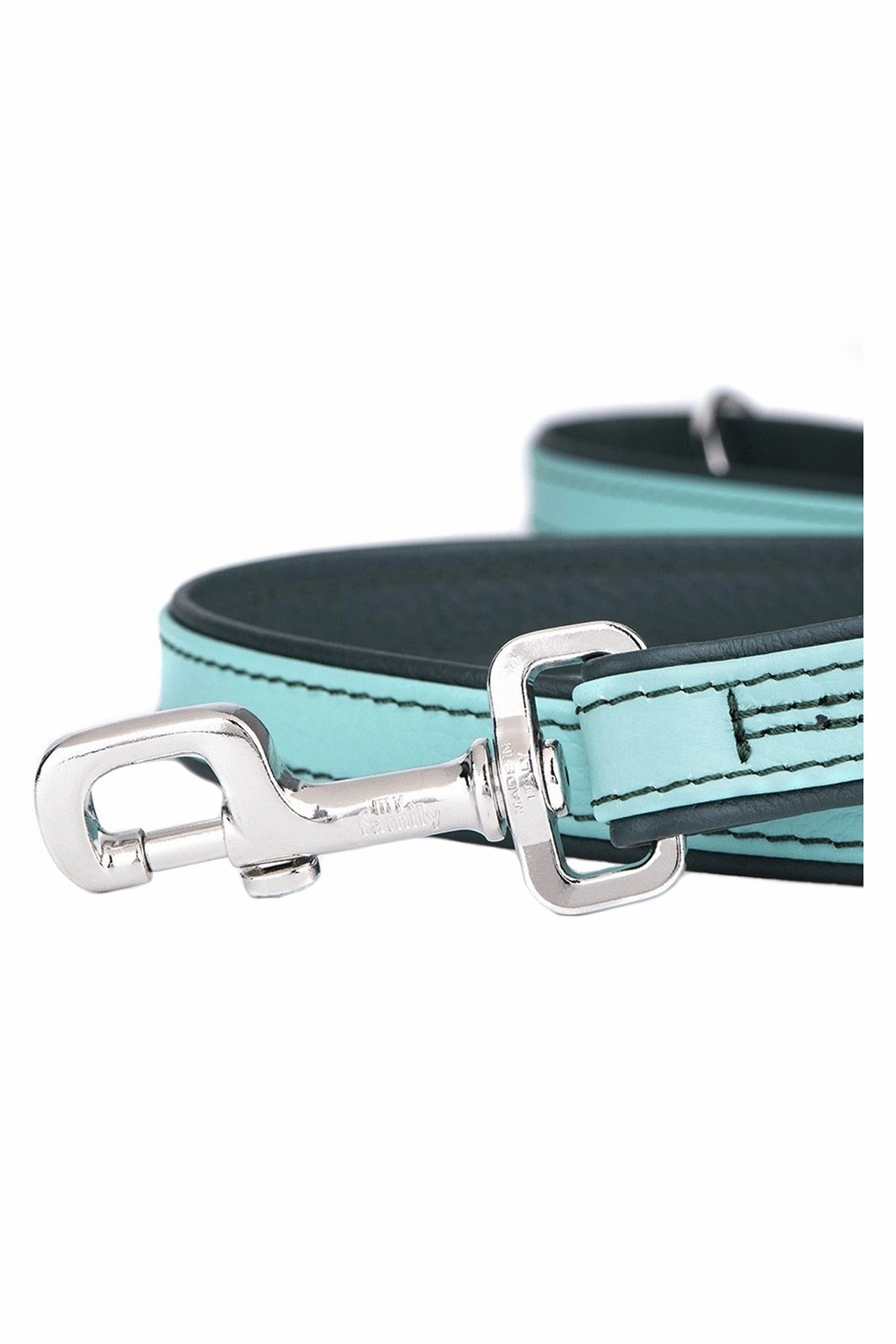 My Family Firenze Aqua Leather Dog Leash