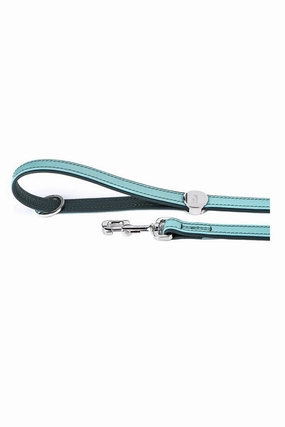 My Family Firenze Aqua Leather Dog Leash