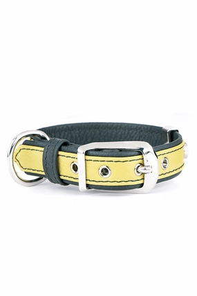 My Family Firenze Yellow Leather Dog Collar