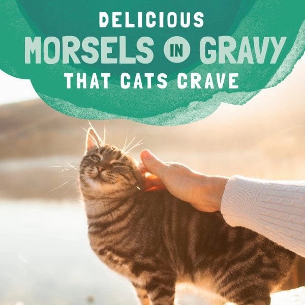 Natural Balance Platefulls Chicken & Salmon Recipe Morsels in Gravy Food Pouch