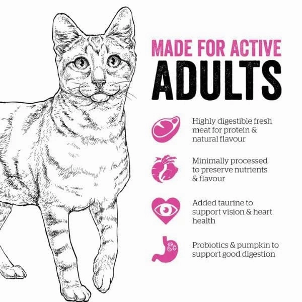 Now Fresh Turkey, Salmon & Duck Recipe Adult Dry Cat Food