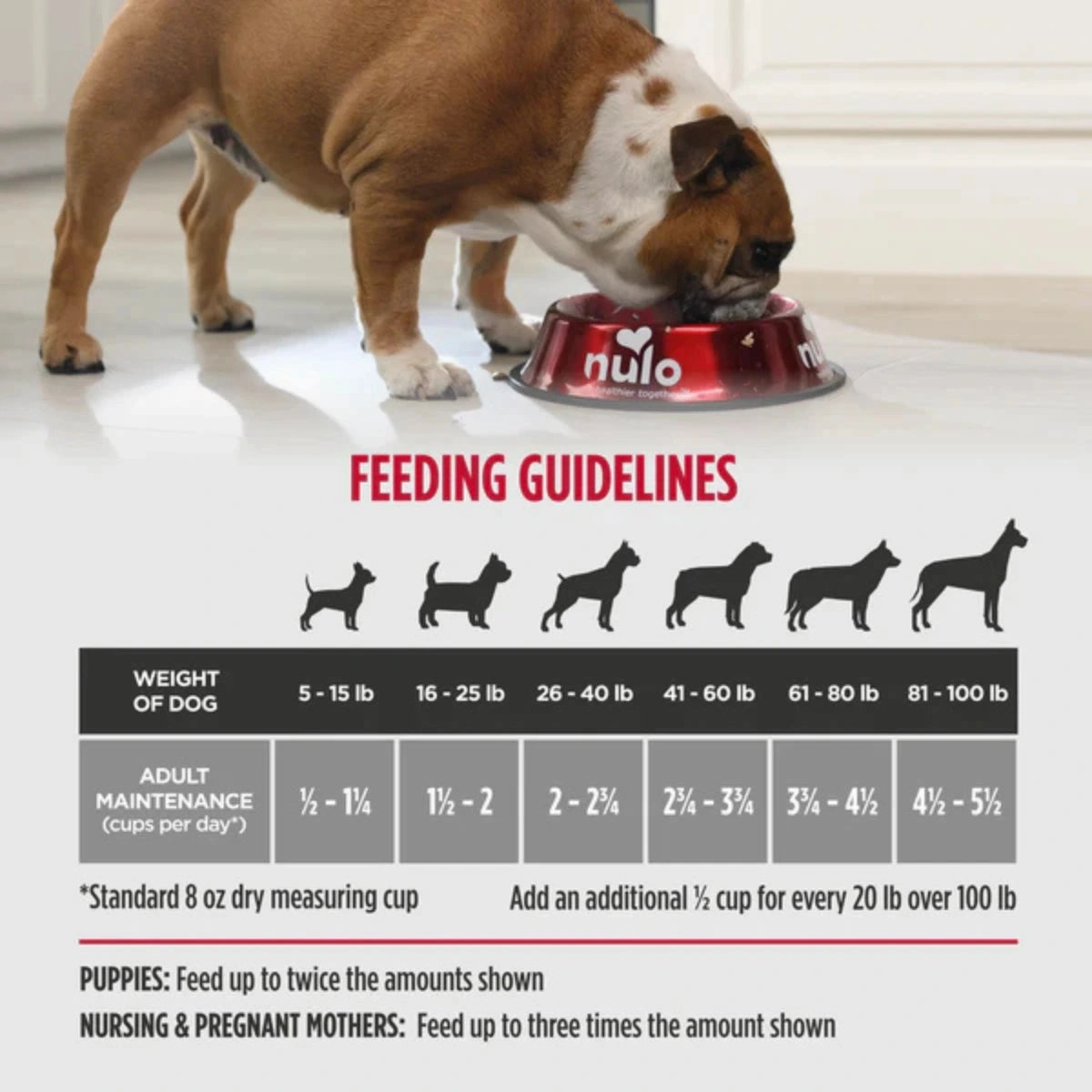 Nulo Cold Pressed Dog Food For Puppies & Adults - Chicken & Tuna Recipe