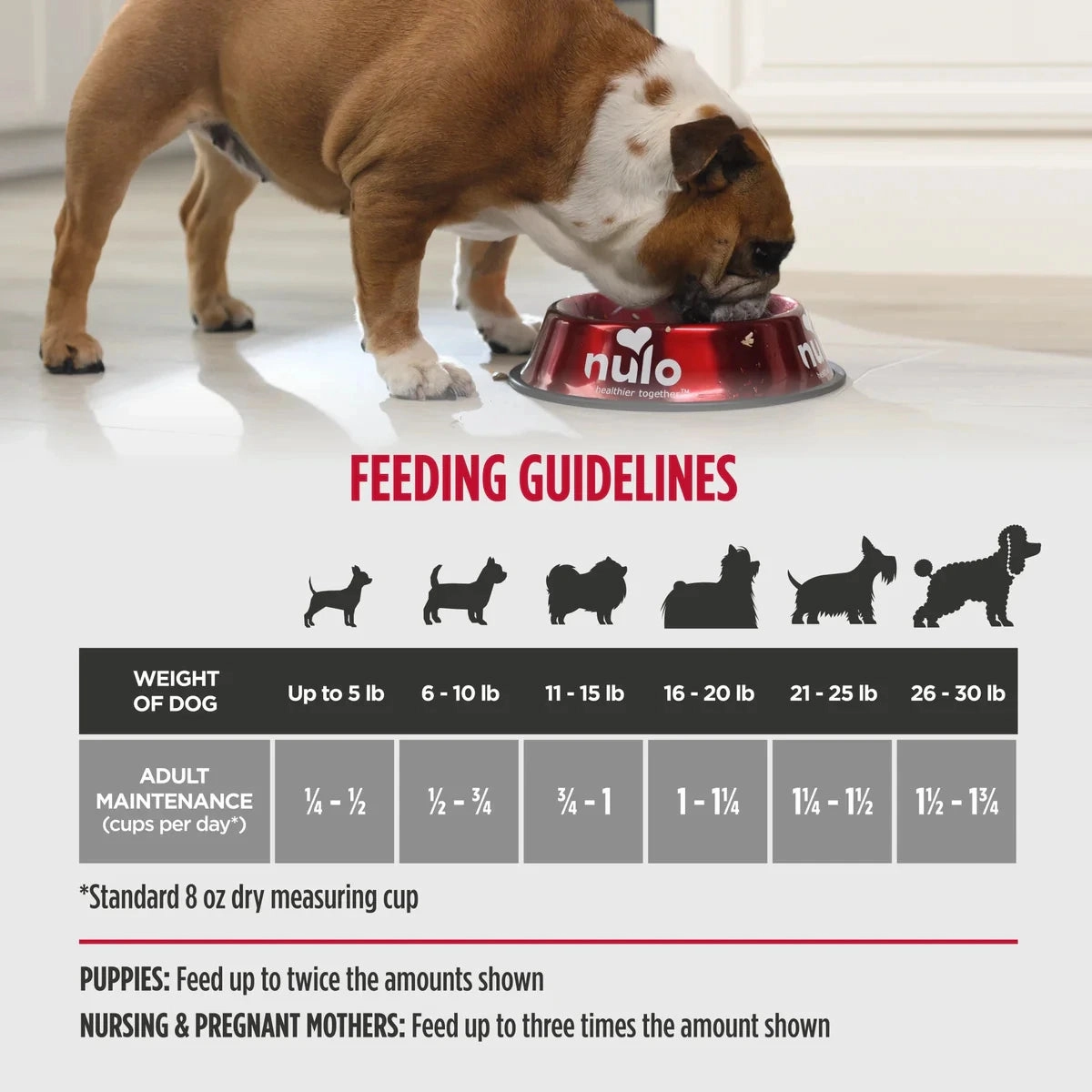 Nulo Freestyle Grain Free Small Breed Dog Food - Salmon & Red Lentils Recipe