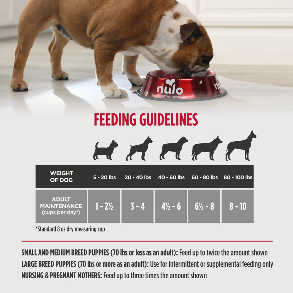 Nulo Freeze-Dried Raw Dog Food - Turkey & Cranberries