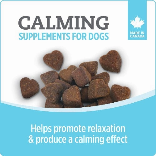 Nutrience Care  Calming Dog Supplement