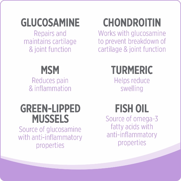 Nutrience Care  Hip & Joint Dog Supplement