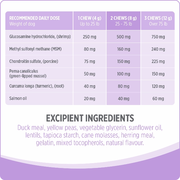 Nutrience Care  Hip & Joint Dog Supplement
