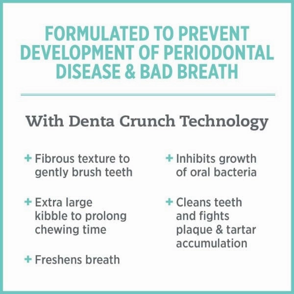 Nutrience Care  Oral Health Dry Cat Food