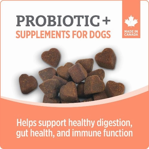 Nutrience Care  Probiotic  Dog Supplement