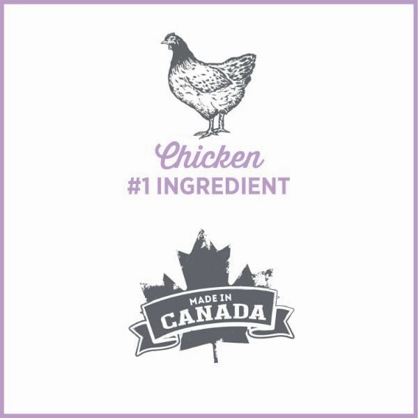 Nutrience Care  Weight Management Canned Dog Food