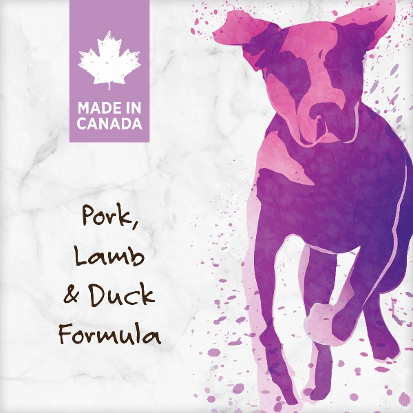 Nutrience Grain Free Pork, Lamb & Duck Dog Food, 10kg