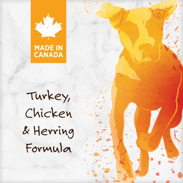 Nutrience Grain Free Turkey, Chicken & Herring Dog Food, 10kg