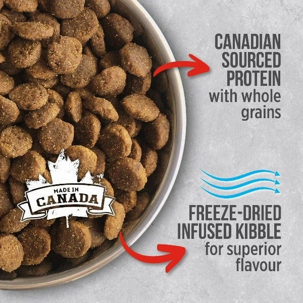 Nutrience Infusion Healthy Adult Beef Recipe Dry Dog Food