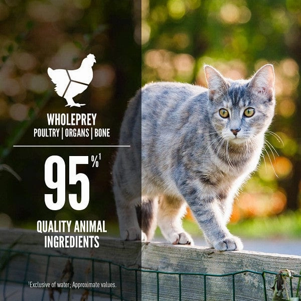Orijen Duck & Chicken Entre Canned Cat Food