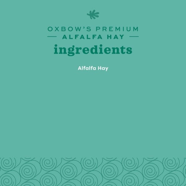 Oxbow Alfalfa Hay
