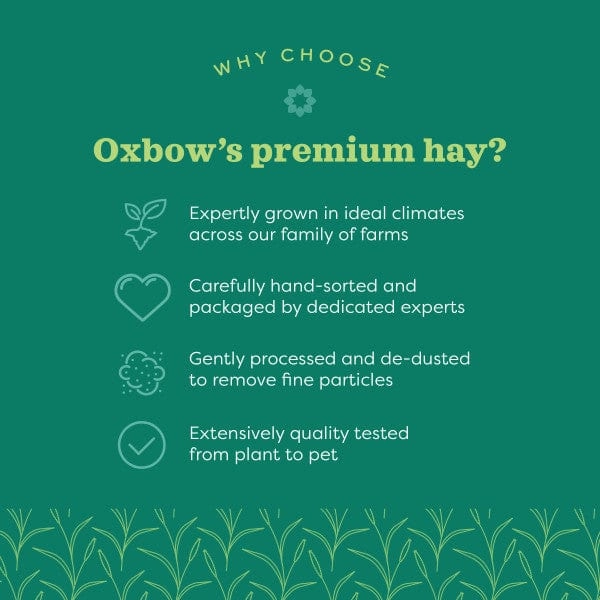 Oxbow Alfalfa Hay