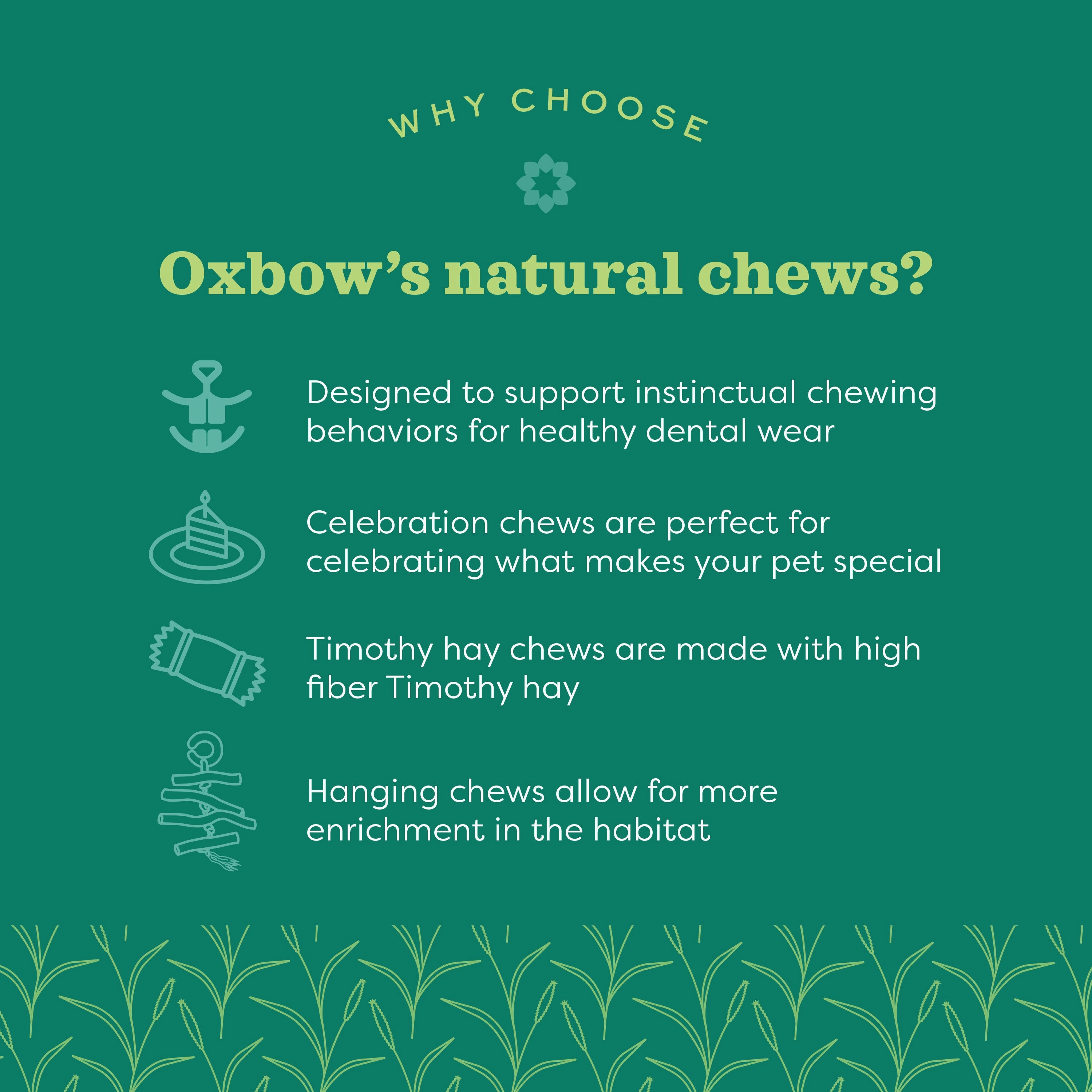 Oxbow Animal Health Enriched Life Celebration Cake