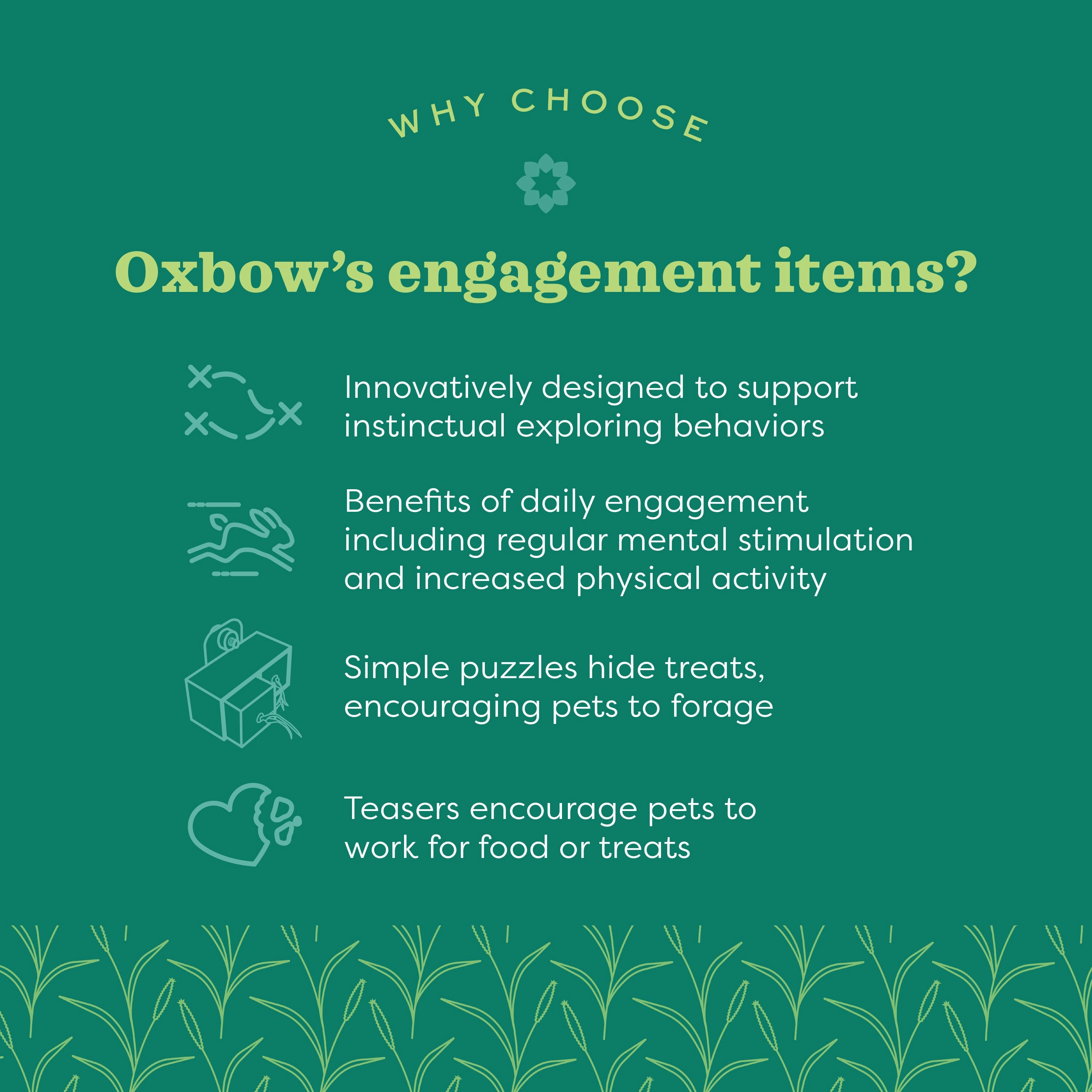 Oxbow Animal Health Play Wall Small