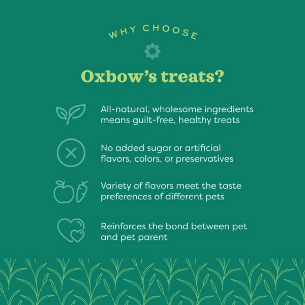 Oxbow Bene Terra Organic Barley Biscuits