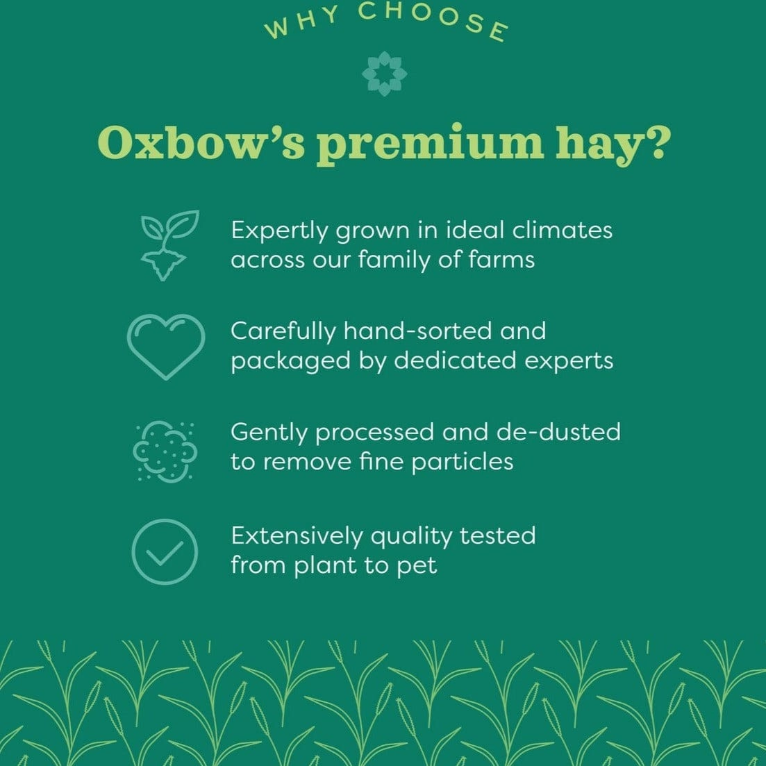 Oxbow Botanical Hay, 15oz