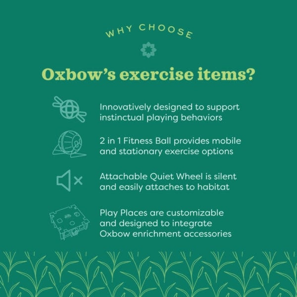 Oxbow Enriched Life - 2 in 1 Quiet Runner