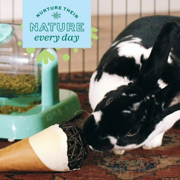Oxbow Enriched Life - Celebration Cone
