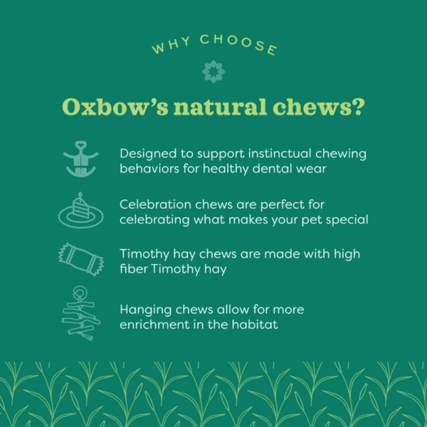 Oxbow Enriched Life - Celebration Cone
