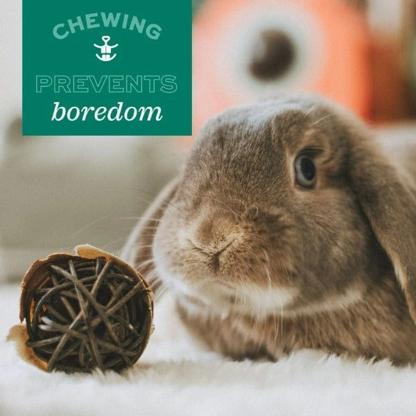 Oxbow Enriched Life - Celebration Pom Pom